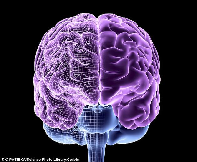 如果意识实际上是从一个高度整合的网络中突然出现的特征，那么所有的复杂系统——包括所有具有大脑的生物——都可能具有某种最低限度的意识形式。